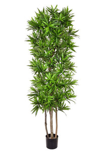 Artificial fire retardant green Dracaena Reflexa song of Jamaica plant