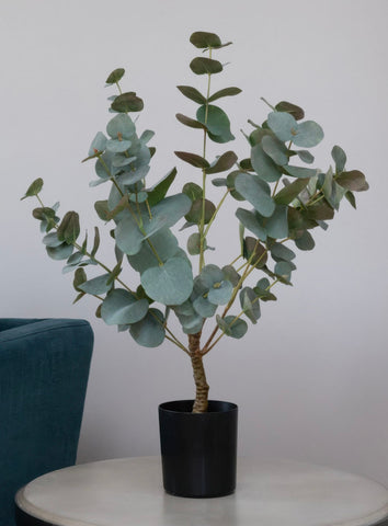 Artificial Plants, Potted Eucalyptus plant 