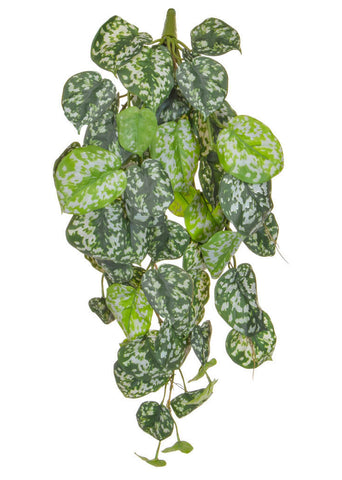 Faux Trailing Scindapsus Plant Fire Retardant - Pack of 6