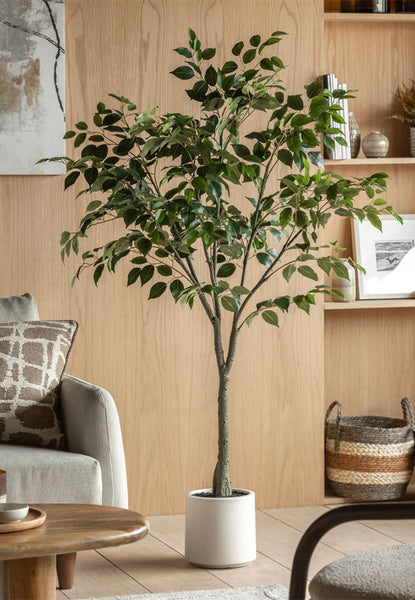 Ficus Artificial Tree in Pot