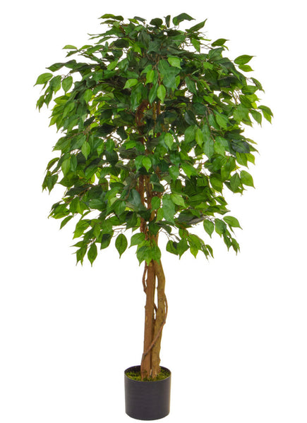 Ficus Benjamina Artificial Tree 150cm