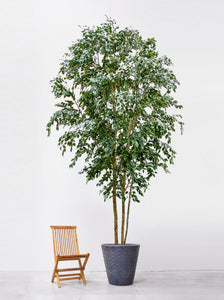Ficus Exotica Large artificial tree 4m tall made with fire retardant foliage