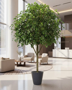 Ficus Large Artificial Trees