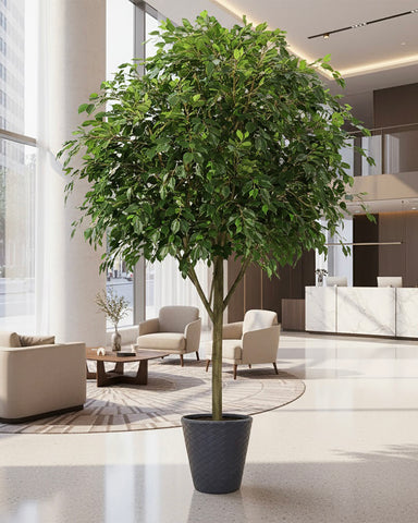 Ficus Large Artificial Trees