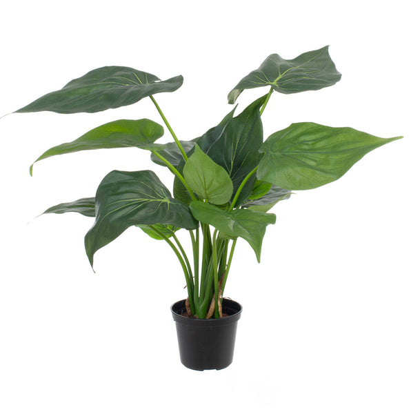 Alocasia Artificial Plant 40cm Fire Retardant