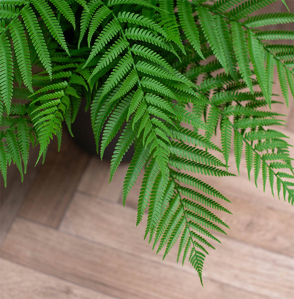 Potted Forest Fern Fire Retardant Artificial Plant 40cm