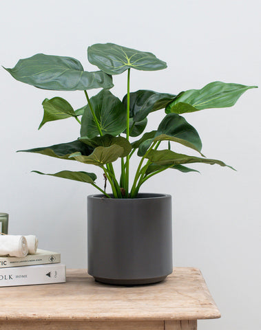 Fireretardant alocasia artificial indoor plants