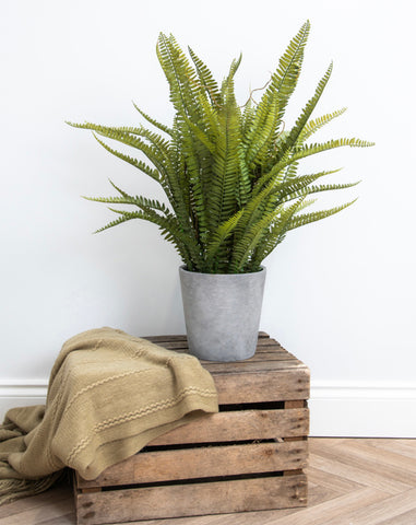 Forest Fern Artificial Plants