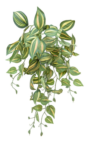 Artificial Green Tradescantia plant with fire retardant foliage for use in commercial interiors