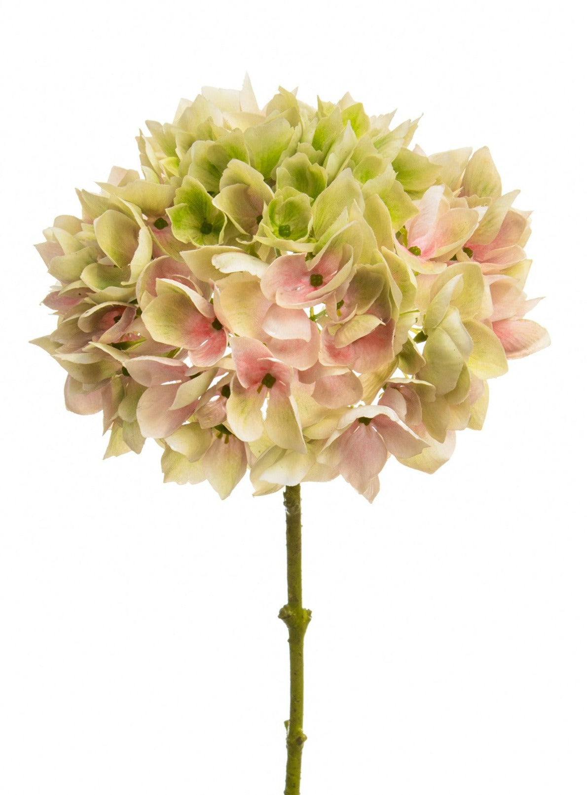 Luxury faux hydrangea flowers green and pale pink by Artificial Green