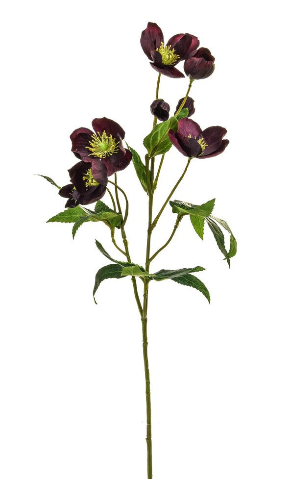 Faux Burgundy Hellebore Flower Stems - Pack of 6