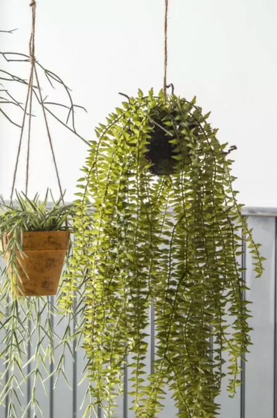 Hanging artificial plants Horsetail green trailing plant Kokedama