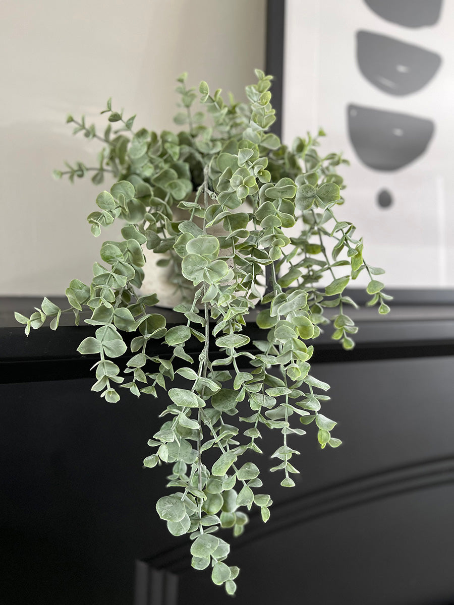 High quality faux trailing eucalyptus plant with bushy green grey foliage by Artificial green
