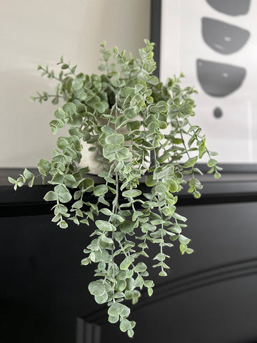 High quality faux trailing eucalyptus plant with bushy green grey foliage by Artificial green