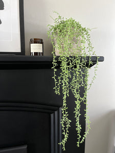 Artificial Hanging Plants Senecio Herreianus - Fire retardant artificial trailing plants