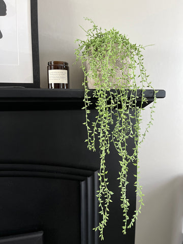 Artificial Hanging Plants Senecio Herreianus - Fire retardant artificial trailing plants