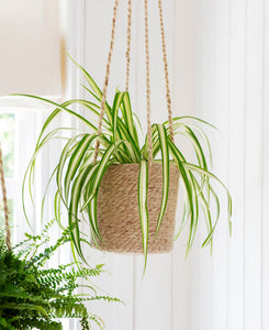 Jute Hanging Plant Pot