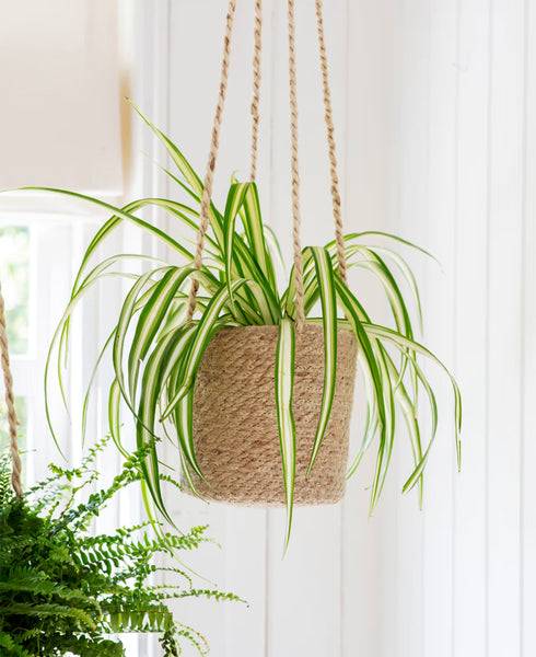 Jute Hanging Plant Pot