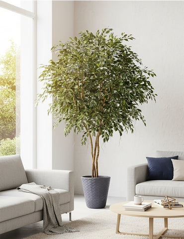Large Artificial Tree Ficus Exotica 3m tall fire retardant