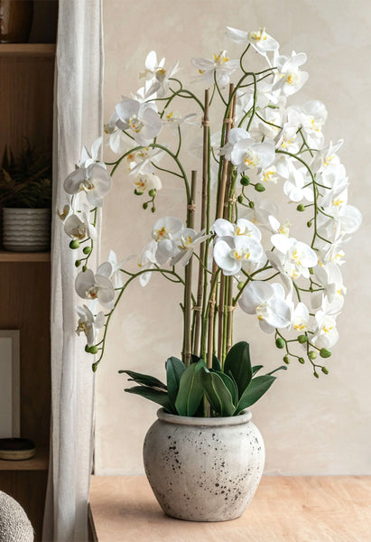 Large White Artificial Orchid with Real Touch in Ceramic Pot