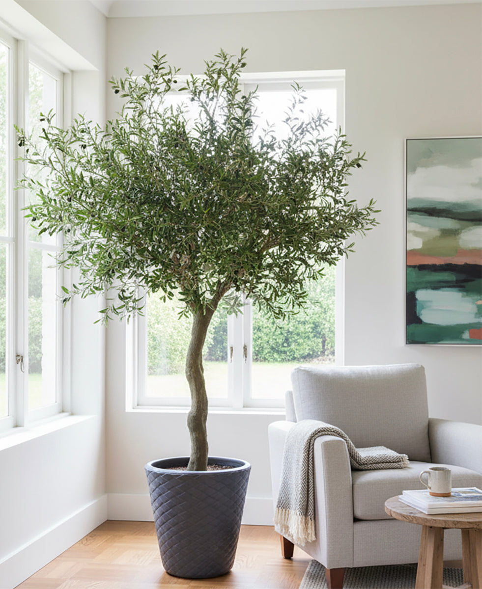 Large Artificial Olive Tree