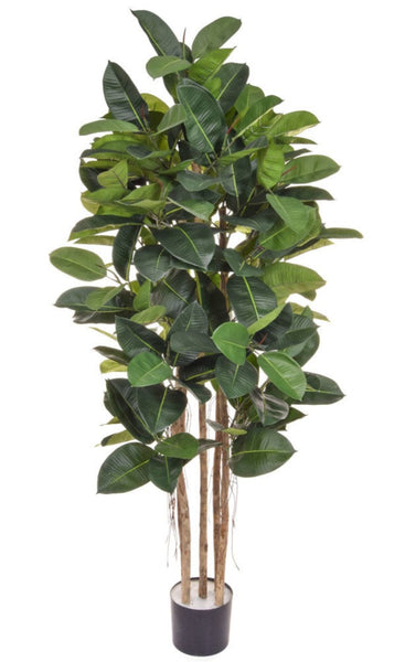 Large Artificial Rubber Plant 