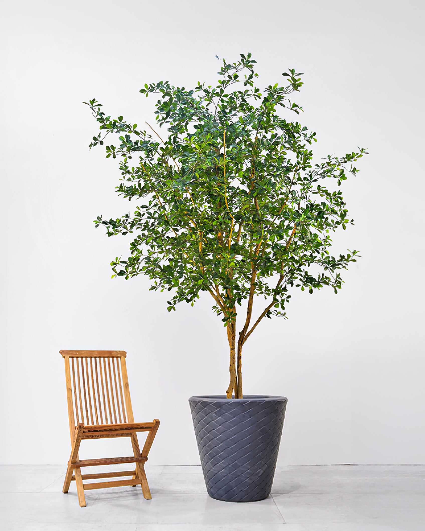 Artificial Trees UK Large Faux Trees by Artificial Green