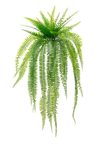UV outdoor artificial Boston Fern plant with trailing leaves