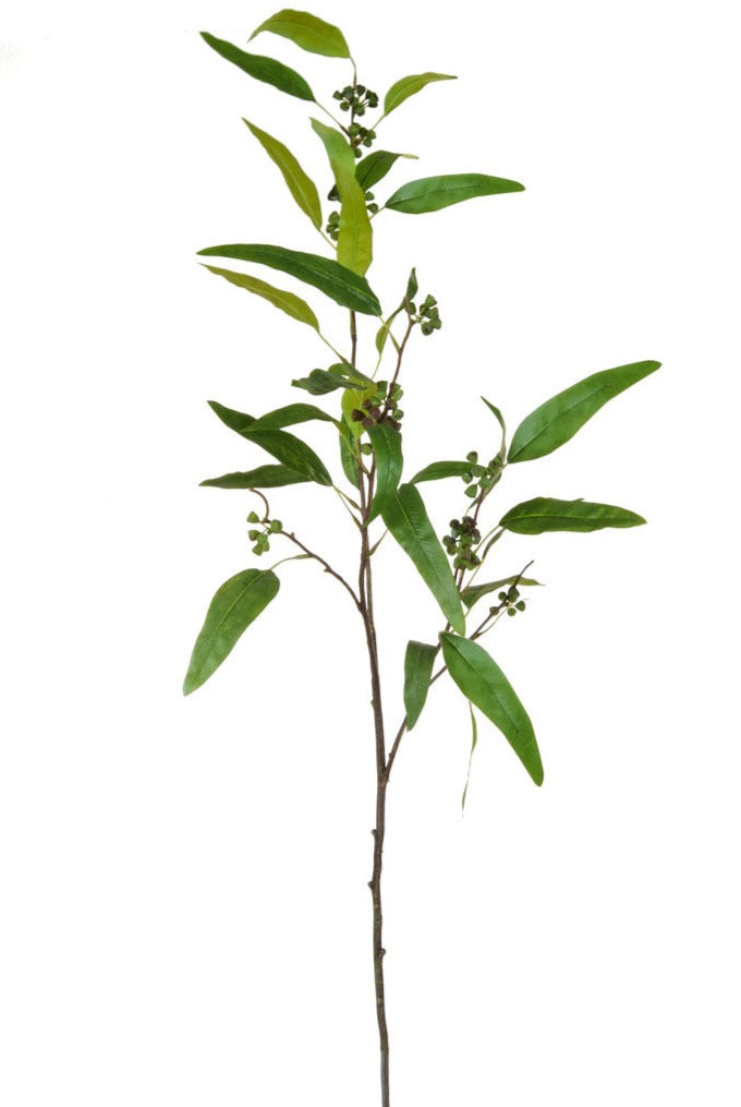 Faux Long Leaf Eucalyptus Foliage Greenery Stems