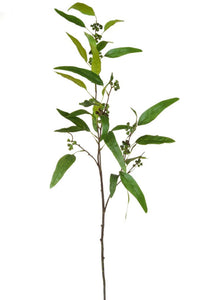 Faux Long Leaf Eucalyptus Foliage Greenery Stems