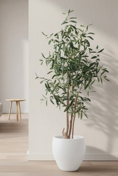 Artificial Olive Tree in Pot. long leaf olive tree in a white pot or wicker basket planter.