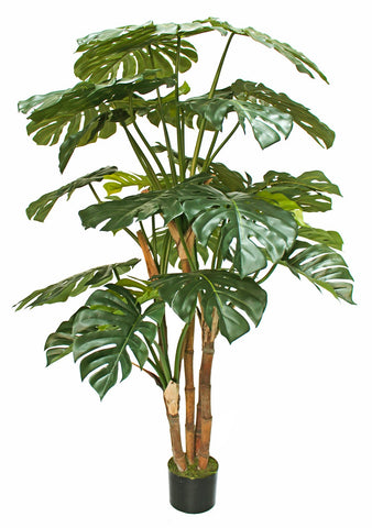 Artificial Monstera Cheese Plant 165cm