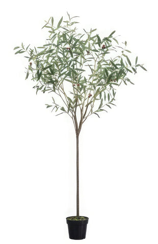 Delicate Artificial Olive Tree 172cm