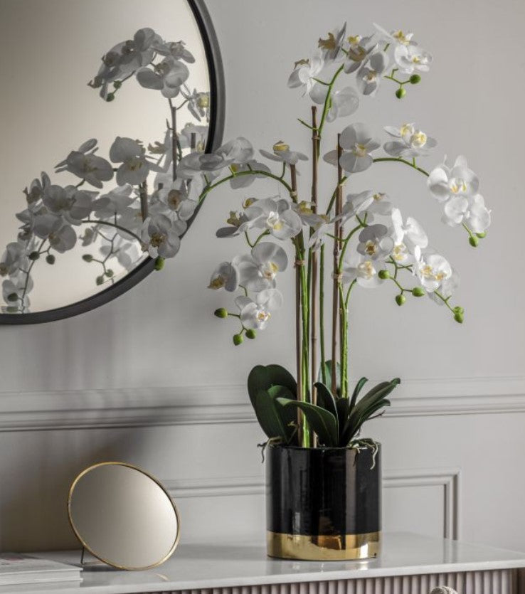 Artificial White Orchid Phalaenopsis 80cm in Black and Gold Pot