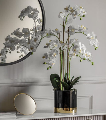 Artificial White Orchid Phalaenopsis 80cm in Black and Gold Pot