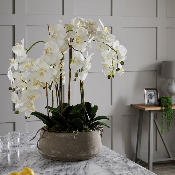 arge Artificial white orchid in stone effect pot