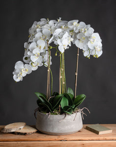 Luxury artificial white orchid in stone effect circular pot