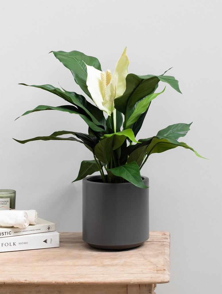 artificial peace lily plant Peace Lily Artificial Plant Fire Retardant – Artificial Green