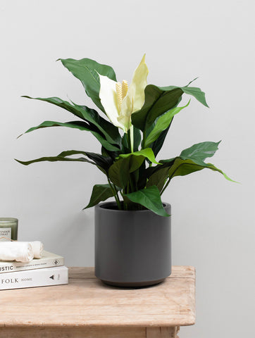 Peace Lily Artificial Plant Indoor and fire retardant