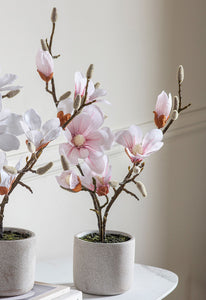 Mini Faux Pink Magnolia tree in grey pot by Artificial Green