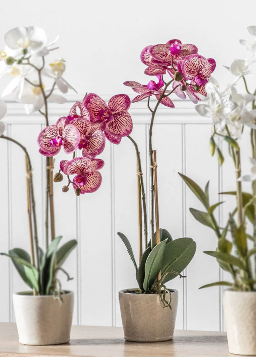 Pink Artificial Orchid