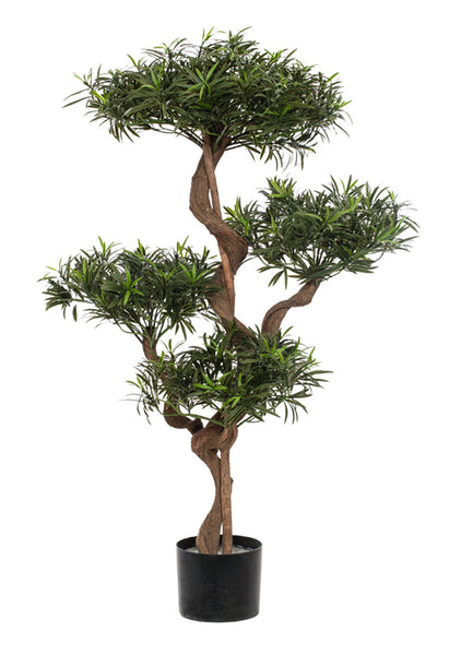 Podocarpus Artificial Trees 120cm