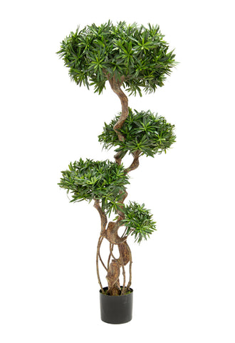 Podocarpus artificial tree
