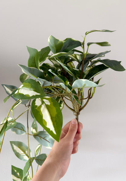 Variegated Pothos artificial trailing plant 40cm