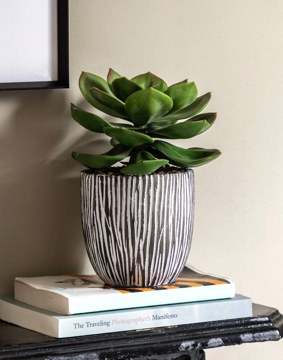 Artificial Succulent in Ribbed Ceramic Pot 24cm