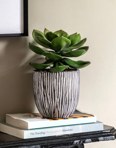 Artificial Succulent in Ribbed Ceramic Pot 24cm