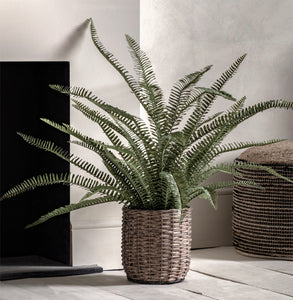 Large Fern Artificial Plant in Basket Pot