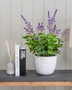 Potted Artificial lavender in grey pot