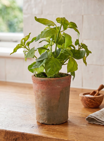 Potted Basil Artificial Herbs