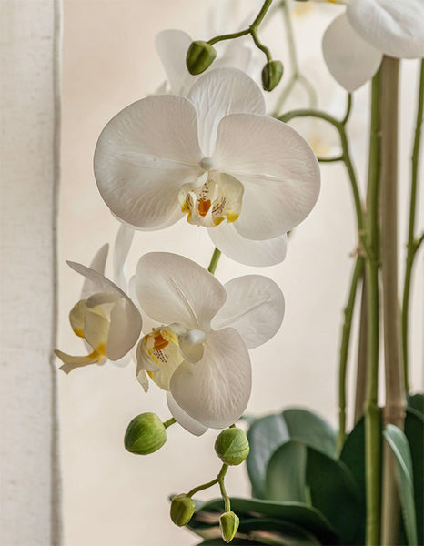 Real Touch Artificial Orchid